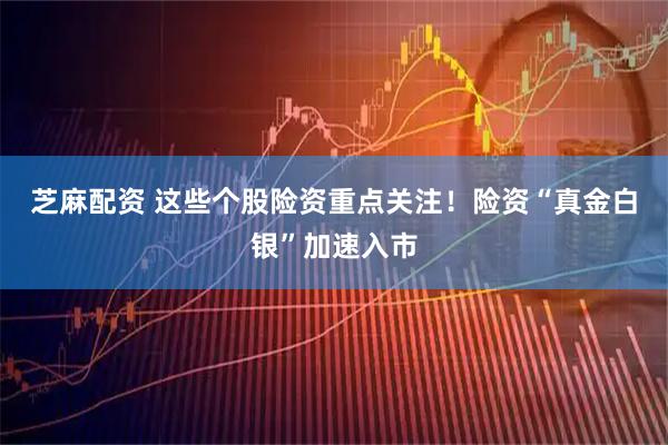 芝麻配资 这些个股险资重点关注！险资“真金白银”加速入市