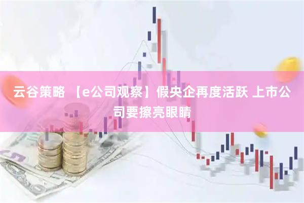 云谷策略 【e公司观察】假央企再度活跃 上市公司要擦亮眼睛